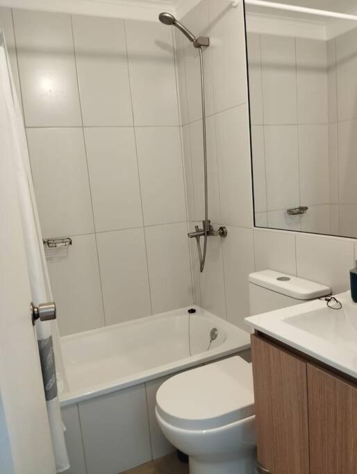 Departamento Dos En Villarrica